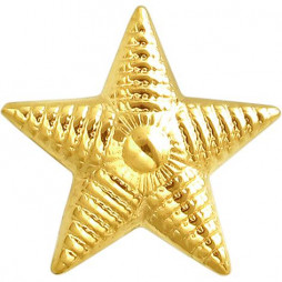 Звезда для погон из жёлтого золота |	 Материал:Золото Цвет:Жёлтый Проба:585 Для женщин Вставки:Без вставок Примерный вес (г):0.67 Длина (мм):13 Высота (мм):11 Ширина (мм):11 Тематика:Звезды, Дизайнерские